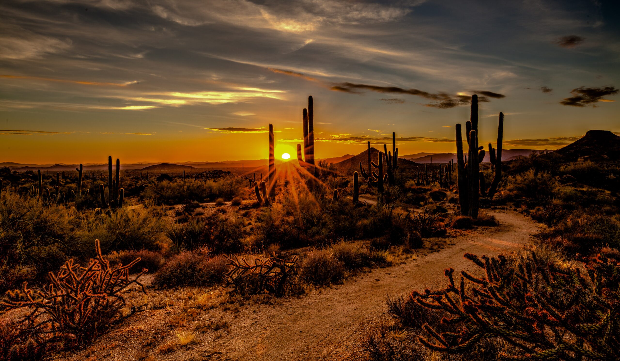 Arizona sunset