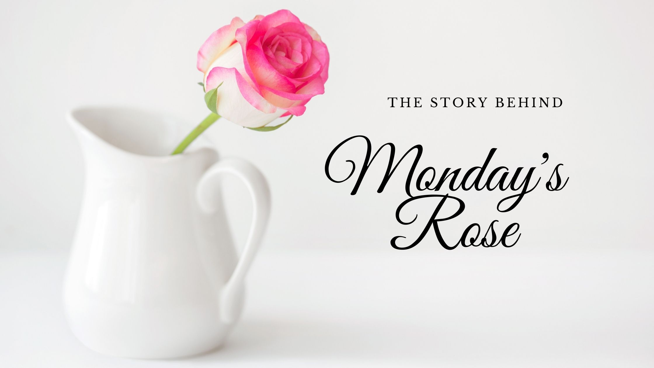 monday's rose